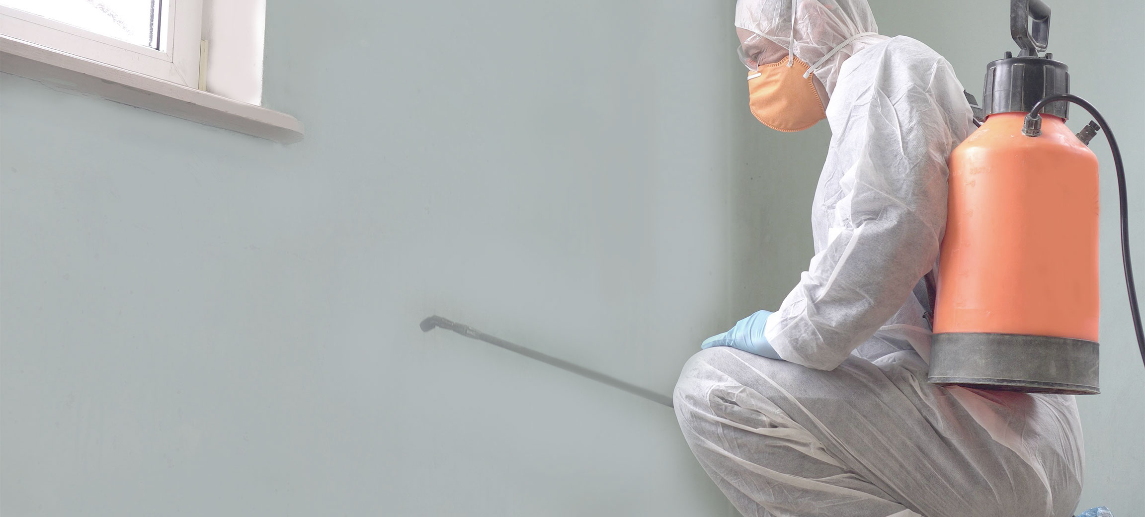 Edinburgh cleaning services Edinburgh cleaning services